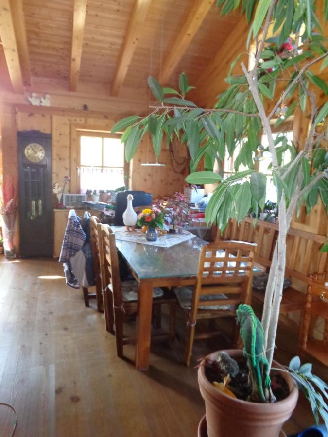 Barrierefreies Zimmer Im Blockhaus Mit Sauna Am See Soyen Buitenkant foto